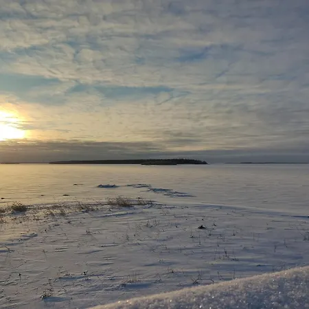 Revontuli House 케미