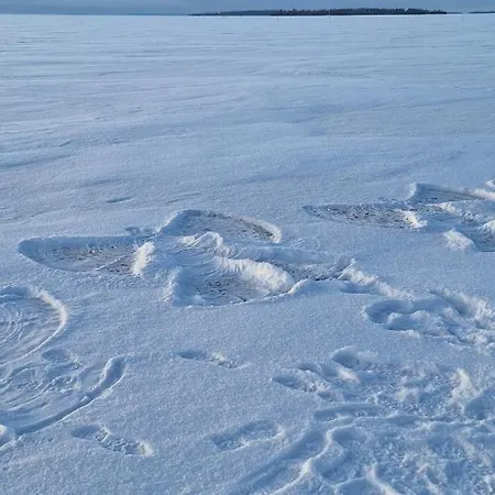 Revontuli House 펜션 *