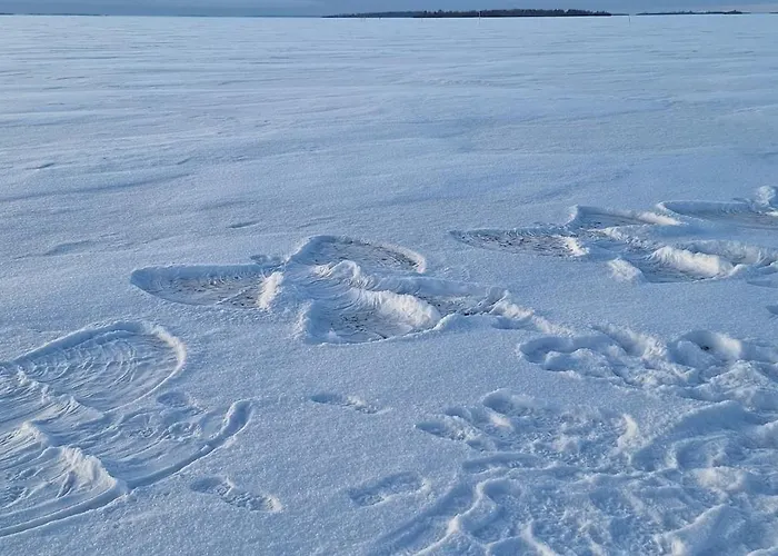 Revontuli House بيت للعطل *